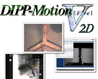 DIPP-Motion V/2D画像