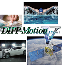 DIPP-Motion V/3D画像