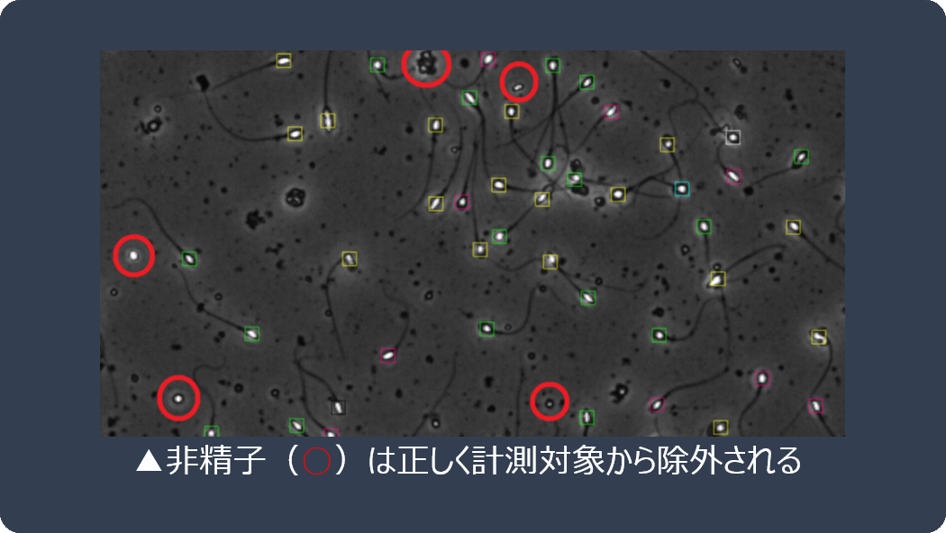 計測精度の向上