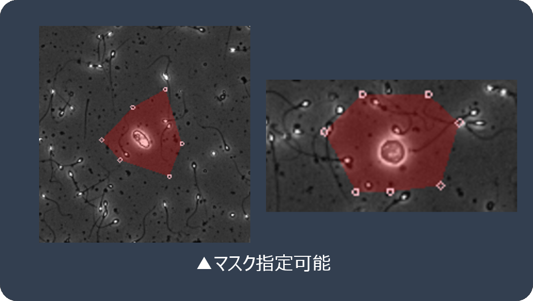 マスク指定機能の搭載