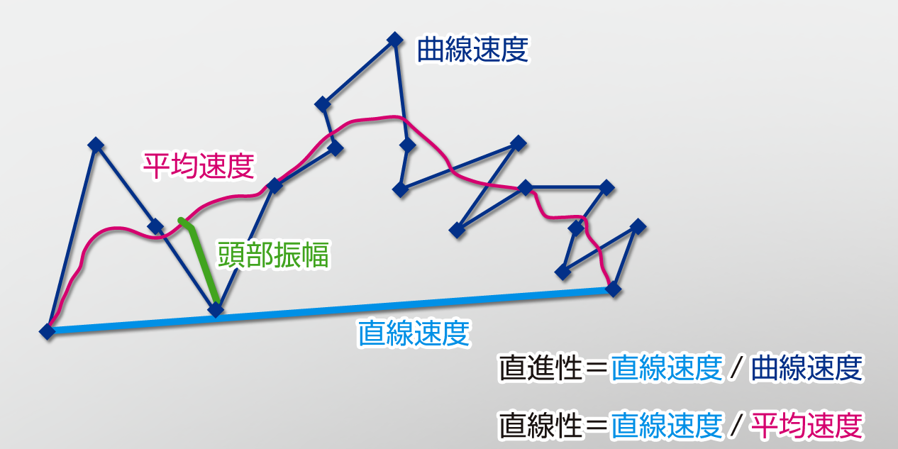 クリニック 福地 レディース